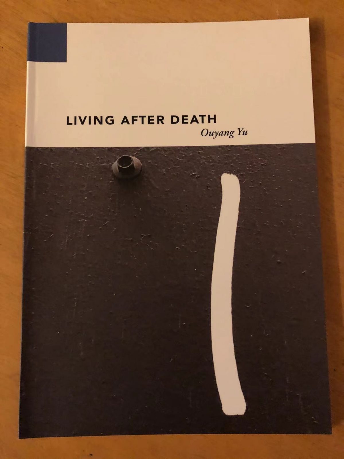 Living After Death, a collection of prose poetry