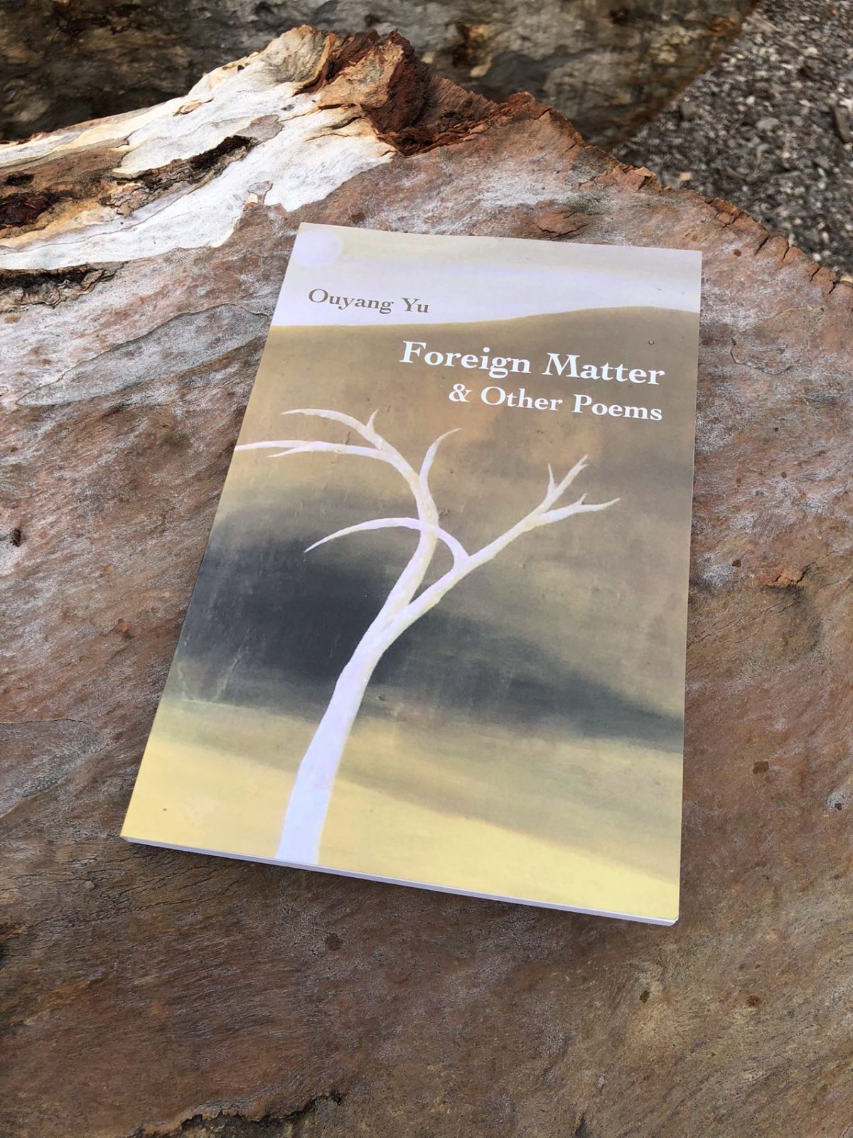 Foreign Matter: go and get it for Xmas!